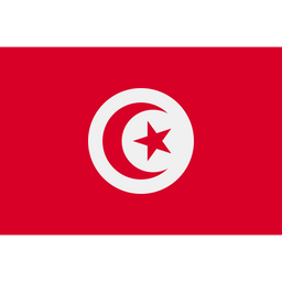 Tunisian flag